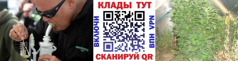 Магазины продажи наркотиков Кунгур Метамфетамин  Гашиш  mega вход  Alpha PVP  Конопля 